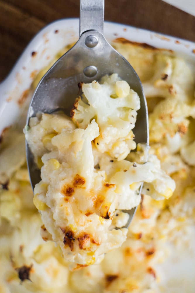 Casserole Recipes You Need to Try This Fall