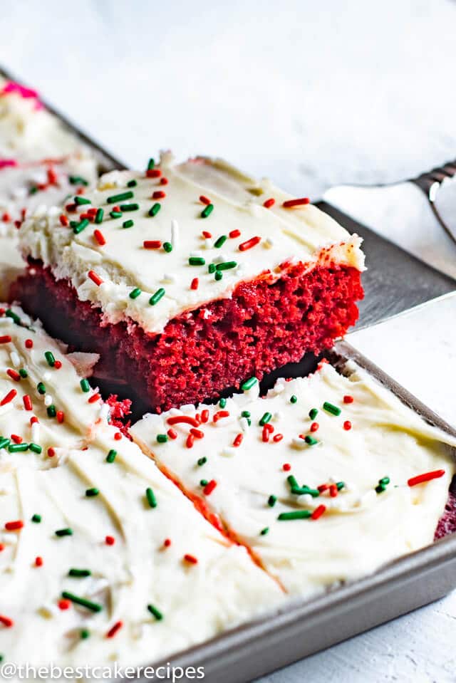 Easy Christmas Cakes Ideas That You'll Want to Try This Year