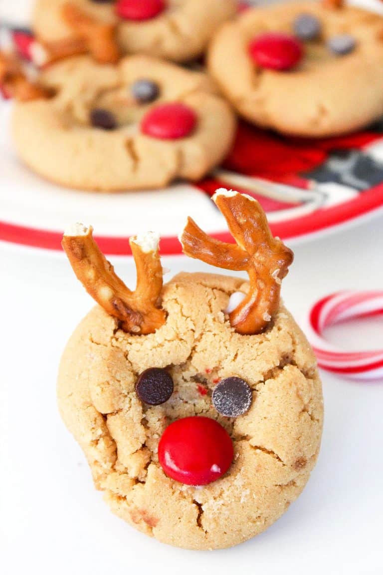 christmas cookie with reindeer theme